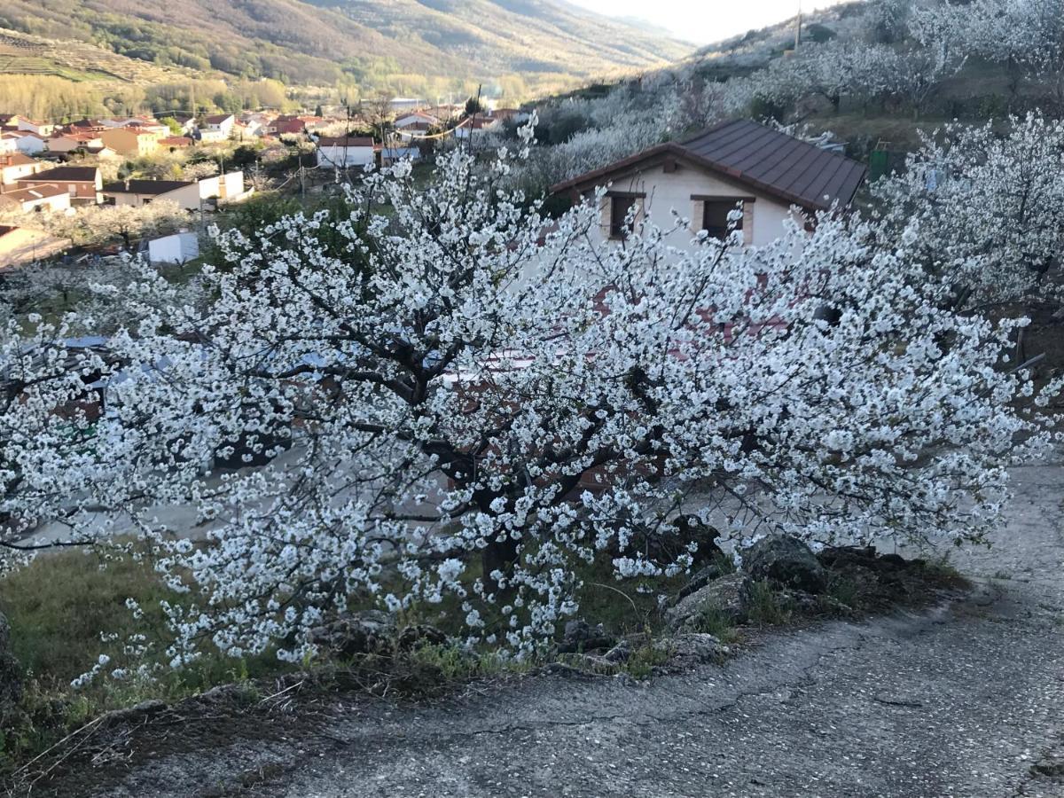 La Gargantilla خيرتي المظهر الخارجي الصورة