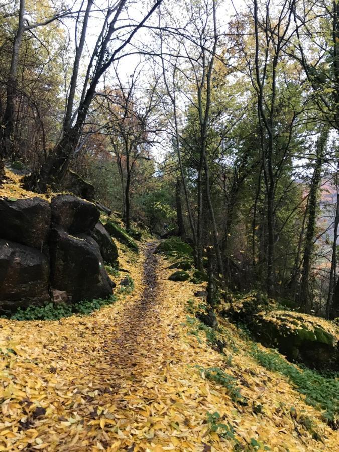 La Gargantilla خيرتي المظهر الخارجي الصورة